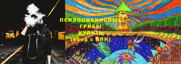 гидропоника Лихославль